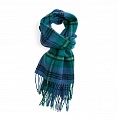 картинка Clans of Scotland Campbell Clan Ancient от магазина  Mykilt